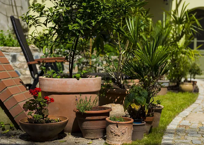 Apartman Appart.bog2 *